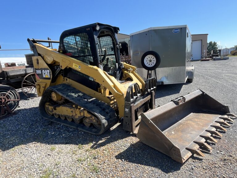 Two Day Lapp Auction