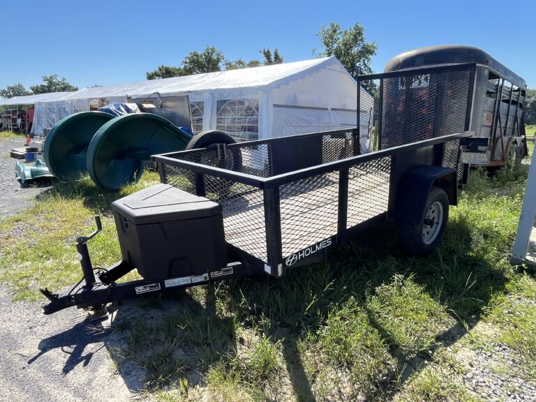 Two Day Lapp Auction
