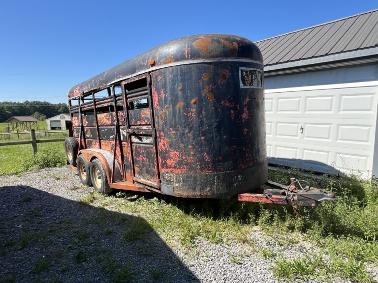Two Day Lapp Auction