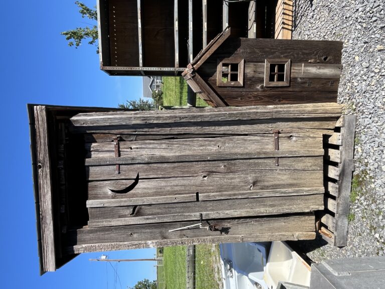 Two Day Lapp Auction