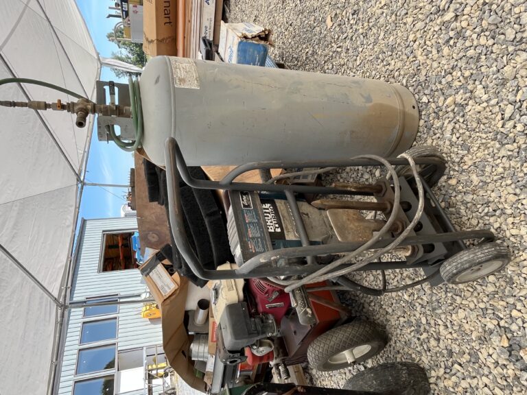 Two Day Lapp Auction