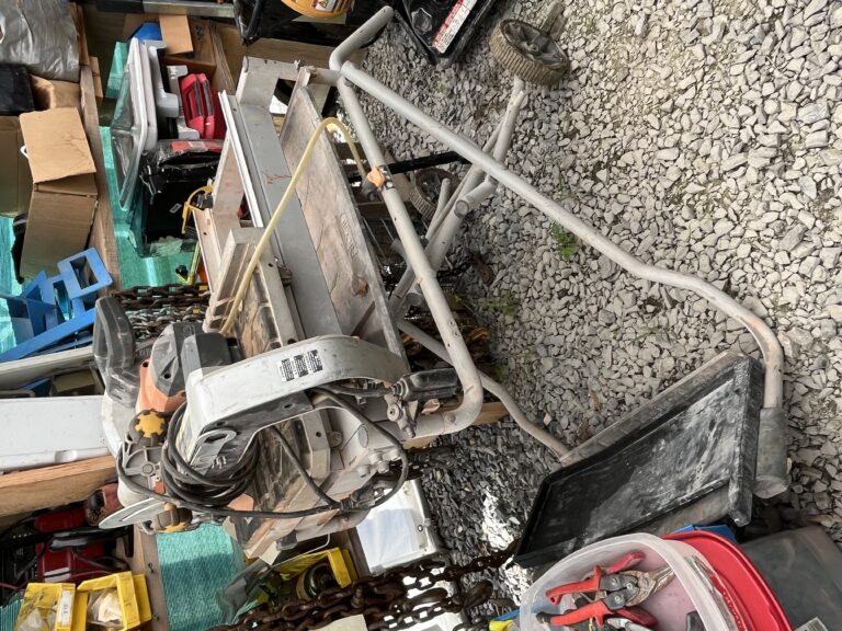 Two Day Lapp Auction