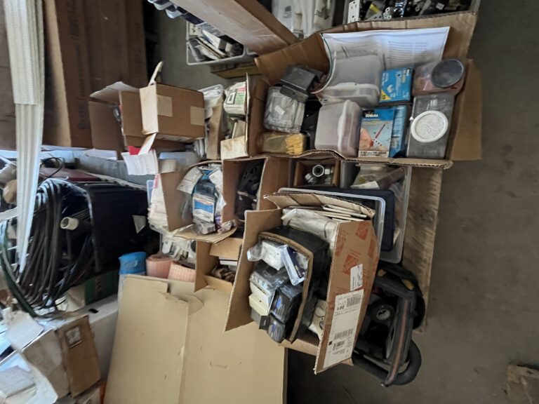 Two Day Lapp Auction