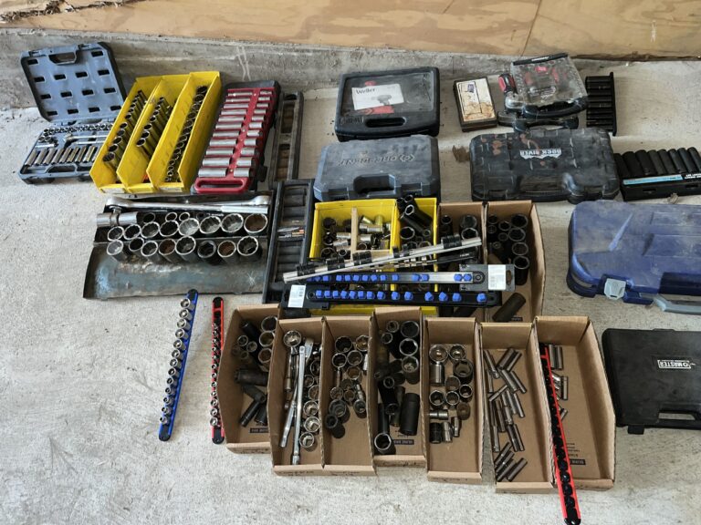 Two Day Lapp Auction